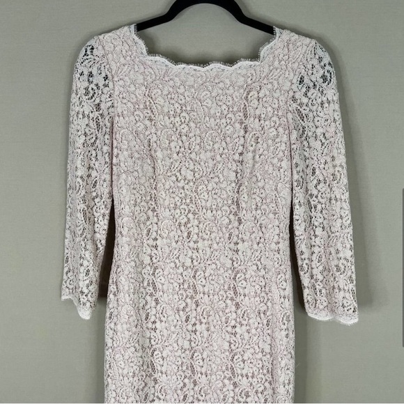 Adrianna Papell Evening Lace Dress with Exposed Back Zipper Pale Pink Size 6 - Picture 5 of 11